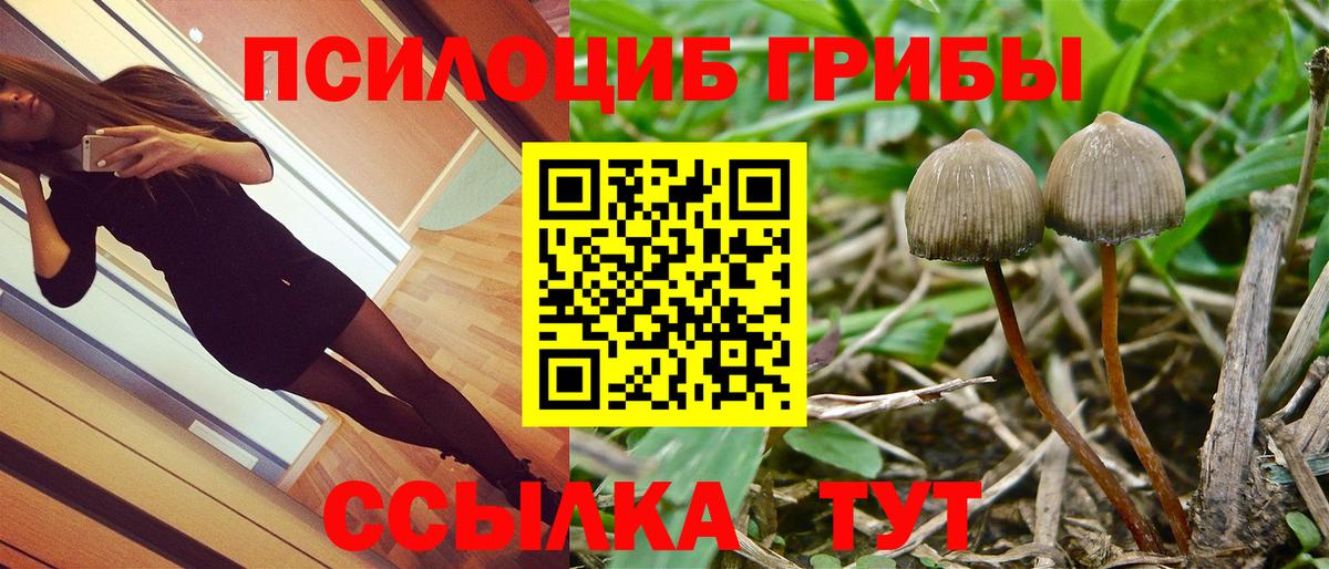 Галлюциногенные грибы Magic Shrooms  Вход с VPN  Волгодонск  Галлюциногенные грибы мухоморы 
