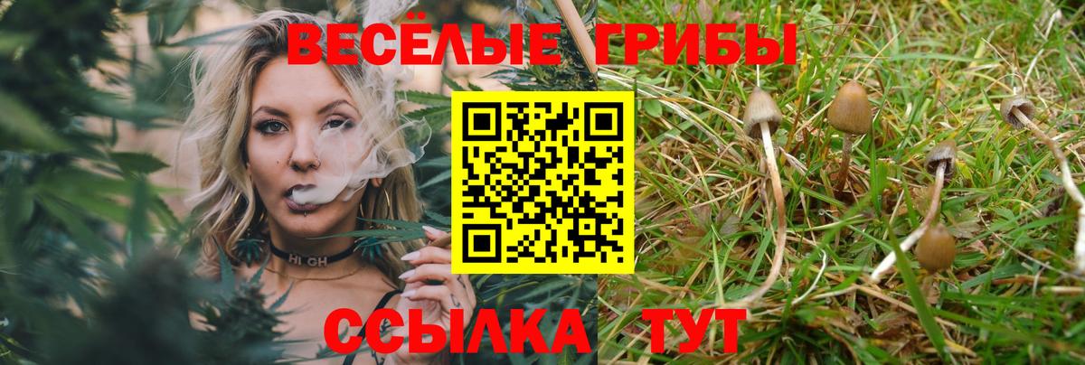 Псилоцибиновые грибы MAGIC MUSHROOMS Волгодонск